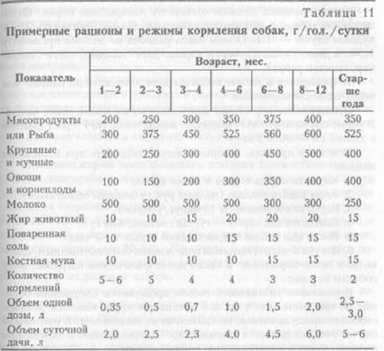 Правильное Питание Щенка Овчарки