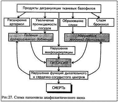 Доклад: Анафилактический шок