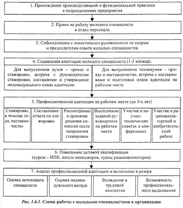 Схема работы с молодыми специалистами