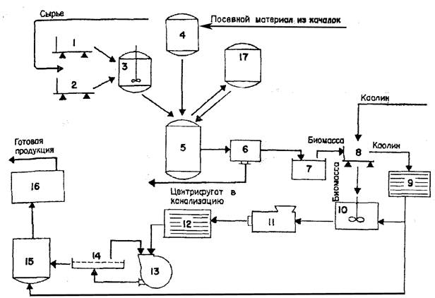Биотехнология схема производства