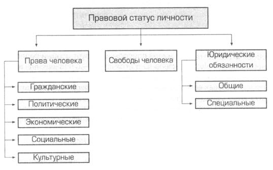 Конституционно правовой статус личности схема