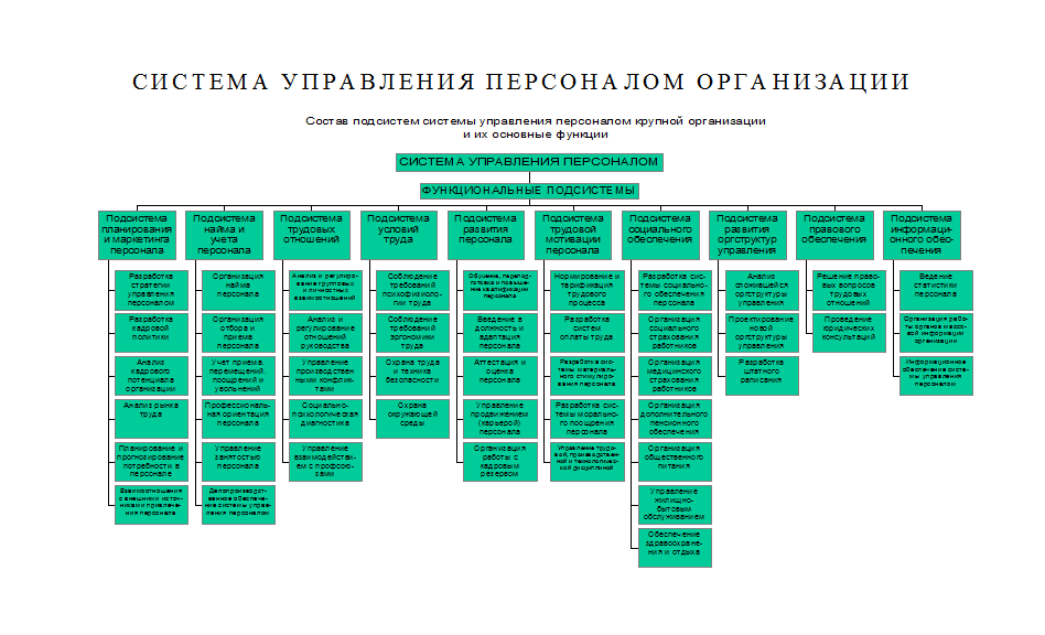 Крупная организация пример. Структура управления персоналом в организации схема. Структура службы управления персоналом организации схема. Схема организационной структуры системы управления персоналом. Структура кадровой службы организации схема.