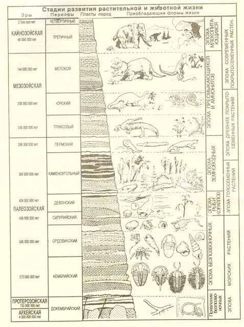 Эры развития человека. Геохронологическая земля схема. Основные этапы развития жизни на земле схема. Схема периодов развития земли.