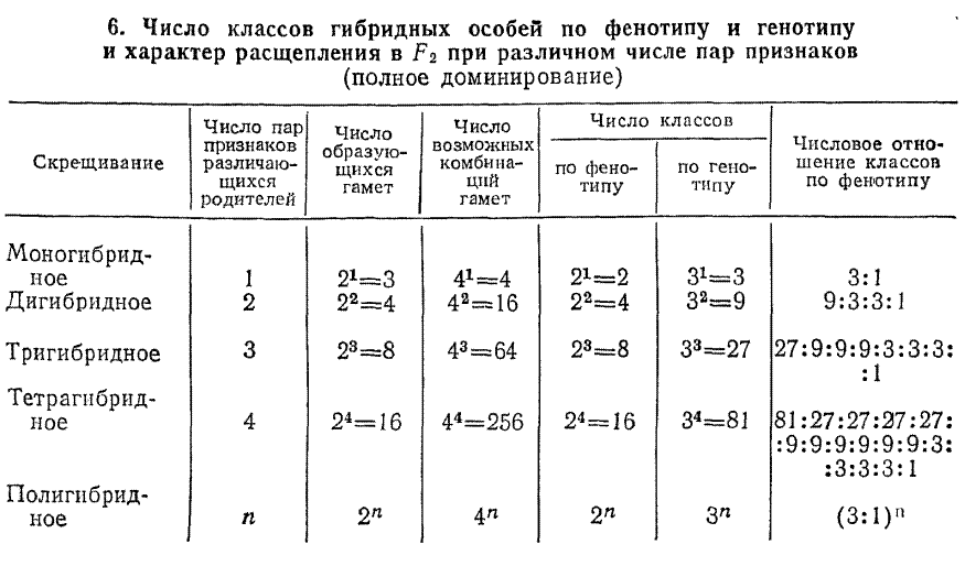 Запишем соотношение генотипов и фенотипов. Тригибридное скрещивание таблица. Расщепление при тригибридном скрещивании. Расщепление по генотипу при полигибридном скрещивании. Фенотип при тригибридном скрещивании.