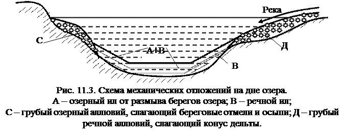 Донные отложения рек. Схема классификации донных отложений. Лечебные грязи озера тамбукан. Донные отложения. Илистое дно озера.