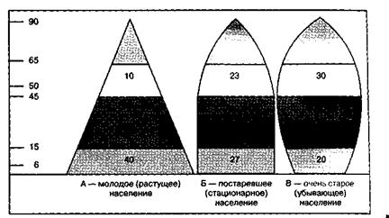 Прогнозирования изменений возрастной структуры отдельных стран. Прогнозирования изменений возрастной структуры отдельных стран. Половозрастная структура населения китая. Сложная возрастная структура популяции. Прогнозирования изменений возрастной структуры отдельных стран.