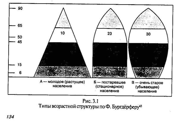 типы возрастной структуры населения. структура населения классификация населения. 3 типа состава населения. половозрастная пирамида испании. типы возрастной структуры населения.