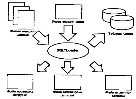 Sql loader