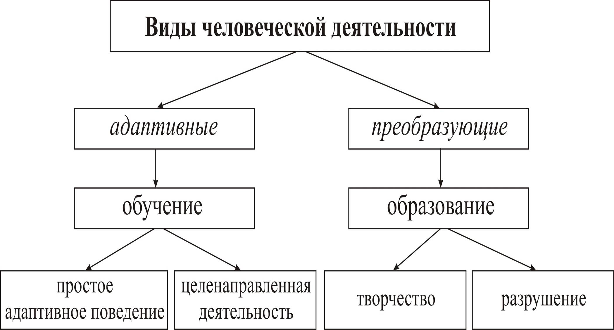 13 видов