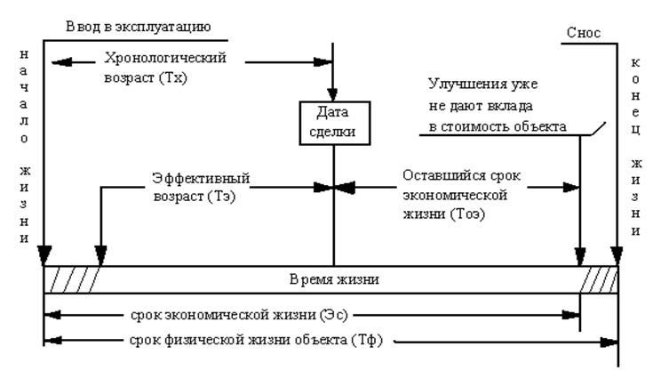 Срок жизни недвижимости