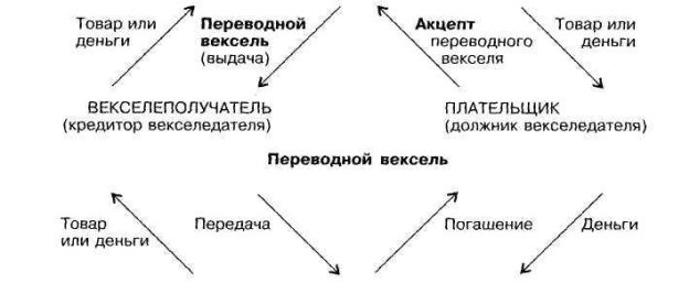 Вексель гк рф. Векселедатель и векселеполучатель. Векселедатель переводной. Схема отношений участников в рамках переводного векселей. Должник плательщик по переводному векселю.