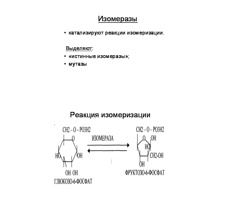 Какой фермент катализирует реакцию