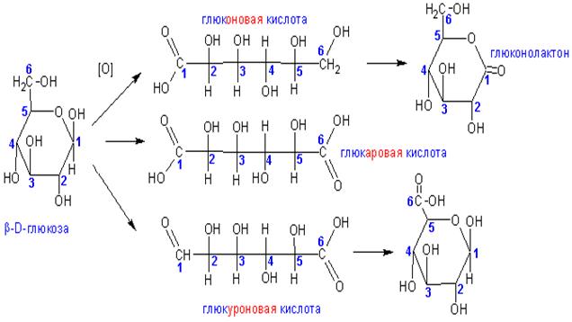 Глюкоза глюконовая кислота реакция. Глюконовая кислота структурная формула. Формула Глюкозы и глюконовая кислота. Формула глюконовой кислоты. Глюконовая кислота формула.
