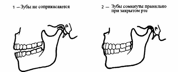 Время закрытия рта