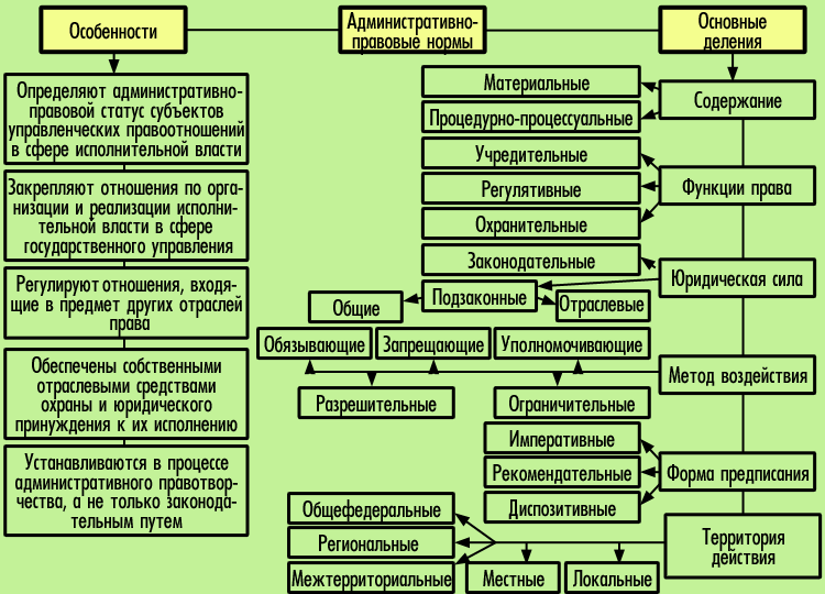 Производство связанное с исполнением. Административно-правовые нормы схема. 2. Составьте схему «особенности административно-правовых норм».