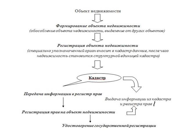 Стадии развития объекта