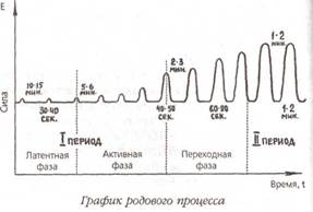 Этапы родовой деятельности схема