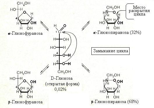 Кольчато цепная таутомерия. Таутомерные формы фруктозы. Таутомерные формы l-Глюкозы. Кольчато-цепная таутомерия моносахаридов. Мутаротация моносахаридов.