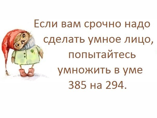 Картинки с мудрыми мыслями о жизни с юмором