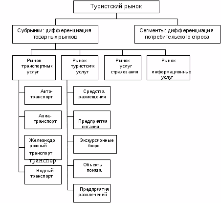 Составьте схему виды современного туризма