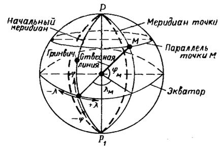 Расположение бивалентов в экваториальной плоскости клетки