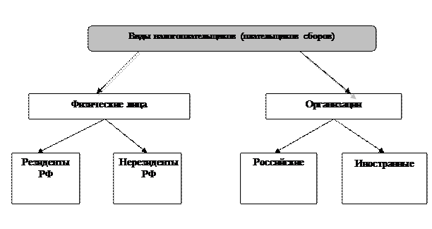 Налогоплательщики схема. Виды налогоплательщиков и плательщиков сборов. Субъекты налоговых отношений картинки.