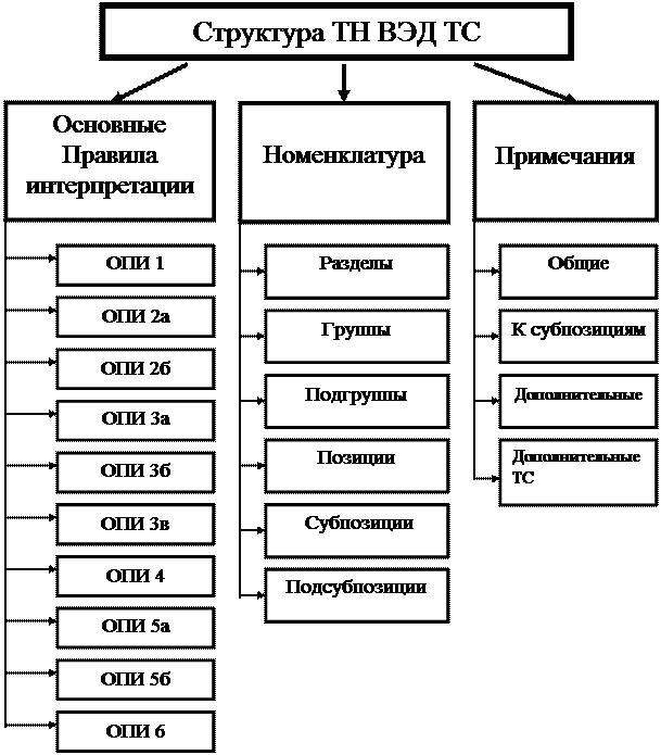Структура тн вэд еаэс презентация