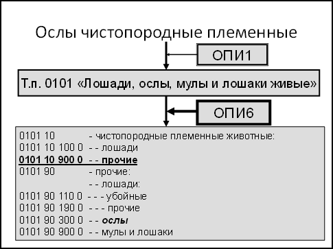 Примечания к разделам тн вэд