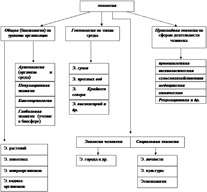 Схема структура экологии