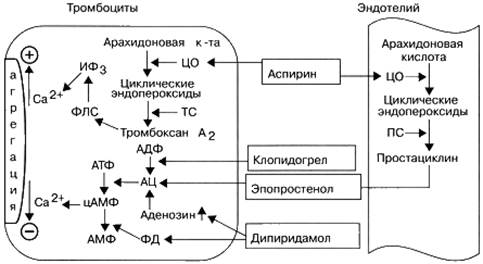 Схема агрегации тромбоцитов