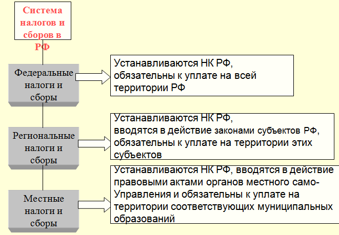 Система налогов и сборов установлена