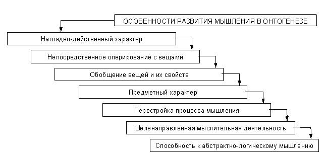 Нарисовать схему этапов развития речи в онтогенезе у человека