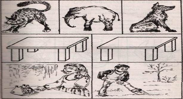 Немов чего не хватает на этих рисунках