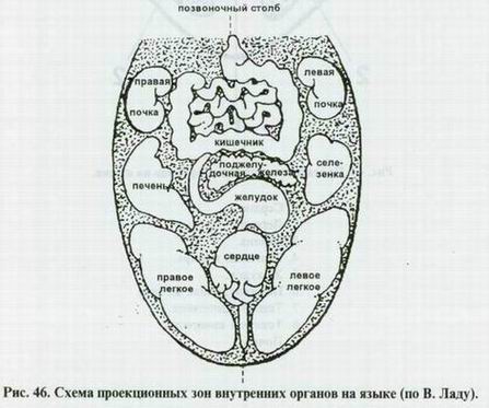 Диагностика по языку в китайской медицине картинки