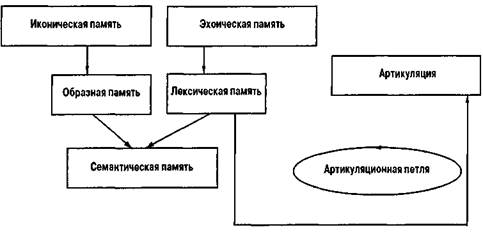 уровни переработки информации в памяти и соответствующие им коды. 338747374285 image074. уровни переработки информации в памяти и соответствующие им коды фото. уровни переработки информации в памяти и соответствующие им коды-338747374285 image074. картинка уровни переработки информации в памяти и соответствующие им коды. картинка 338747374285 image074. Накопленные экспериментальные данные не позволяли интерпретировать резуль­таты работы мнемической системы, исходя только из характеристик сигнала (его мо­дальности и длительности переработки). В методологии психологической науки про­изошел коренной перелом после того, как в 1972 г. Крэйк и Локхарт разработали новый подход к пониманию сущности процесса переработки информации. Они пред­ложили выделить уровни обработки информации. Каждый стимул может обрабаты­ваться на разных уровнях: начиная с перцептивного и заканчивая более глубоким абстрактным. Оказалось, что некоторые виды памяти соответствуют разным уров­ням обработки информации. На каждом из уровней может использоваться тот или иной код (зрительный, слуховой), однако характер переработки информации опре­деляется не только кодом поступающей информации, но и сочетанием кода с уров­нем переработки.