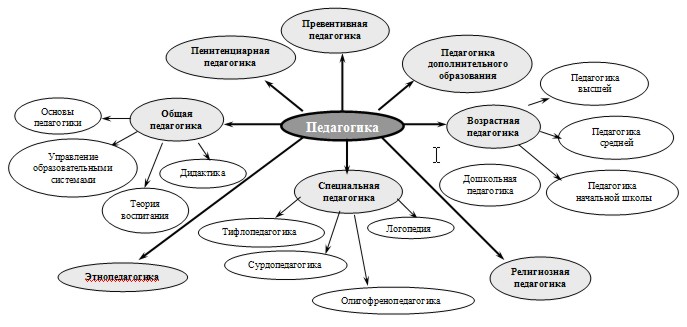 Связь методики и педагогики. Система пед наук схема. Педагогика в системе наук схема. Место дошкольной педагогики в системе педагогических наук. Отрасли педагогики схема.