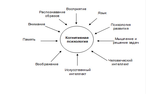 Образцы ситуаций которые накапливаются в памяти человека когнитивные карты