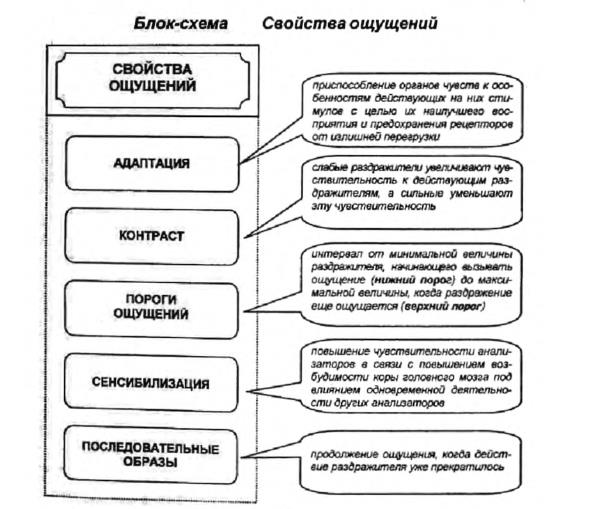 Виды ощущений в психологии схема