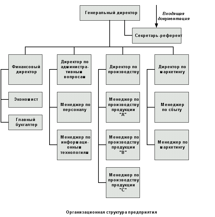 Структура клининговой компании схема организационная
