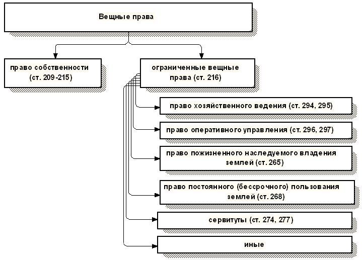 Схема виды вещей
