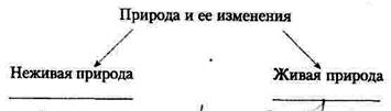 Схема система природоведческих понятий собирательные и единичные понятия