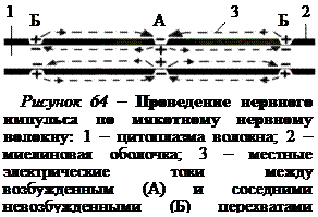 Что такое следовые потенциалы. Смотреть фото Что такое следовые потенциалы. Смотреть картинку Что такое следовые потенциалы. Картинка про Что такое следовые потенциалы. Фото Что такое следовые потенциалы