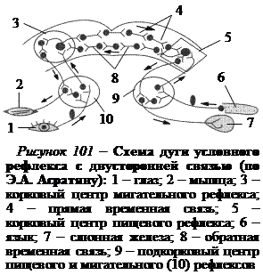 Структурно функциональная схема условного рефлекса
