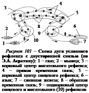 Рефлекторная дуга мигательного. Схема условного мигательного рефлекса. Дуга условного рефлекса схема. Рефлекторная дуга условного мигательного рефлекса. Схема образования условного мигательного рефлекса.