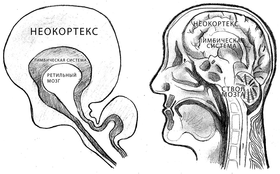 Схема п маклина