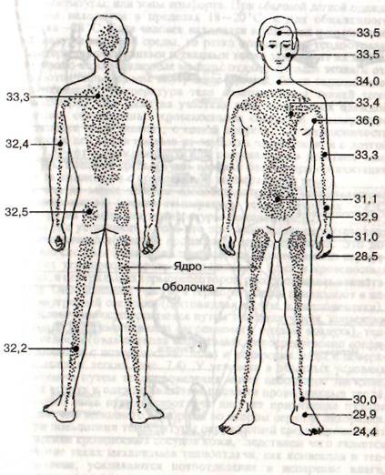 Области тела человека температура. Температурная схема тела человека. Температура человека схема. Температурная карта тела человека. Температура тела на разных участках.