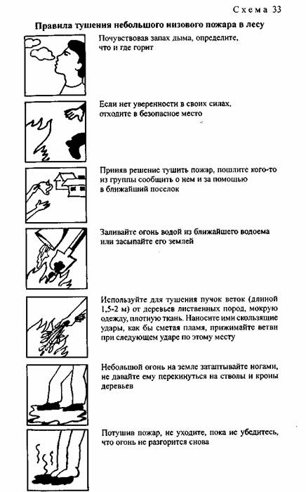 План действий при лесном пожаре