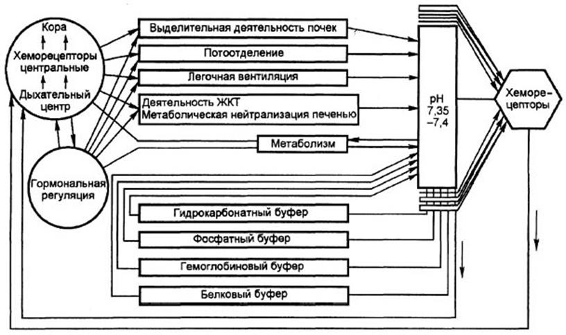 Схема фус восприятия боли