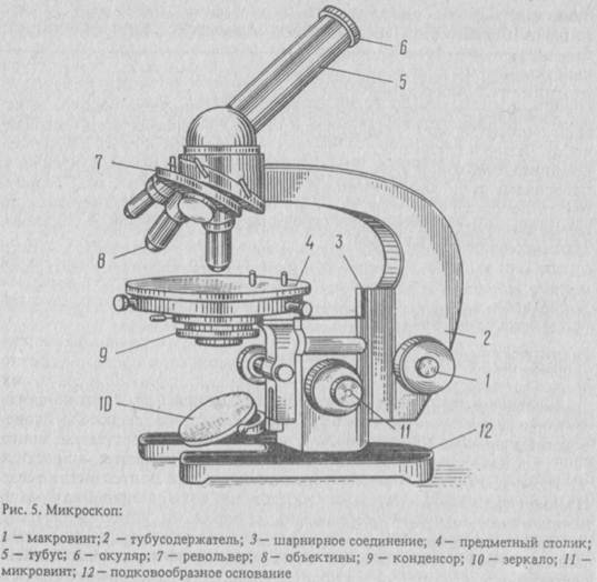 Схема устройства микроскопа