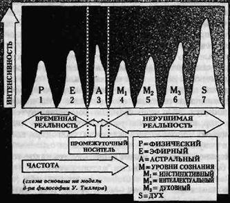 Частота органов человека. Частота человеческого тела. Частоты органов человека. Целебные частоты. Частота органов человека в Герцах.